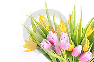 Bright colorful bouquet of tulips. spring colorful flowers isolated on white background