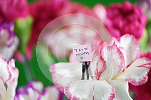 Bright colorful bunch of spring flowers and miniature note for mothers day