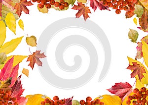 Bright, colorful collage of autumn leaves, for the frame, horizontal.