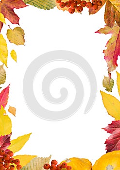 Bright, colorful collage of autumn leaves, for the frame, vertical.