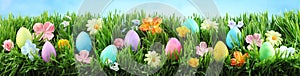 Bright colorful Easter eggs on green grass with flowers.