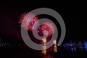 Bright and colorful fireworks against a black night sky.Fireworks for new year. Beautiful colorful fireworks display on the urban