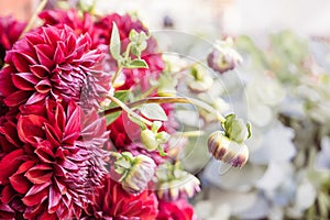 Bright and colorful flowers for sale at the Seattle Pike's Market farmer's market outdoors