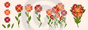 Bright colorful flowers set. Botanical vector illustration on isolated background.