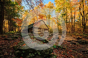 Bright Colorful Forest Abandoned Location Barn Wooden Rocky Path Nowhere Empty Nobody Fall Autumn Colors