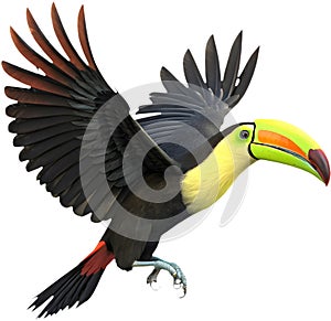 Colorful Keel-billed toucan bird clipart perfect for vibrant designs. photo