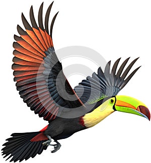 Colorful Keel-billed toucan bird clipart perfect for vibrant designs. photo