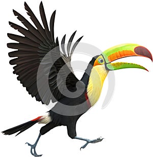 Colorful Keel-billed toucan bird clipart perfect for vibrant designs. photo