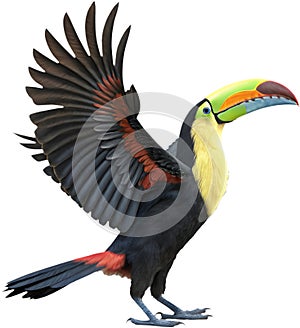 Colorful Keel-billed toucan bird clipart perfect for vibrant designs. photo