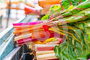 Bright, colorful orange, green, white and red swiss chard, with green leaves, in bundles, being sold at a farmer`s  market