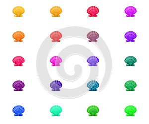 Bright colorful pattern background of multicolred shells rainbow