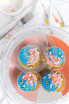 Bright and colorful pink and blue cupcakes with sprinkles for a birthday celebration