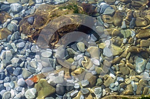 Bright colorful rocks under water