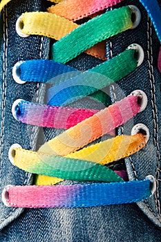 Bright colorful shoelace