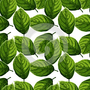 Bright and colorful textured green leaves on white background seamless pattern.