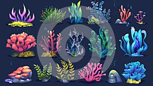 Bright colorful undersea plants and animals - seaweed, coral reef and fish cartoon modern illustration set. Tropical