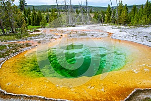 Bright colors of the Morning Glory Pool of the Upper Geyser Basin photo