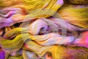 Bright colours of spinning wool roving. Background.