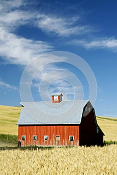 Bright Country Barn