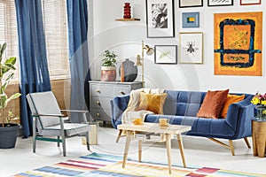 Bright and cozy living room interior with blue drapes, a sofa wi