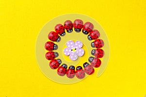 Bright creative background with decorative wooden button and ladybugs