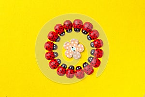 Bright creative background with decorative wooden button and ladybugs