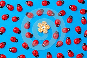 Bright creative background with decorative wooden button and ladybugs