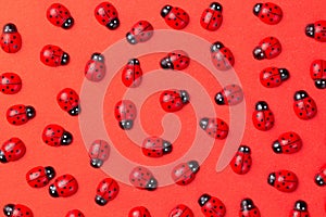 Bright creative colored background with decorative wooden ladybugs