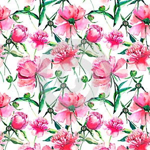 Bright cute tender lovely beautiful wonderful spring floral herbal pink peony with green leaves and buds watercolor hand illustrat