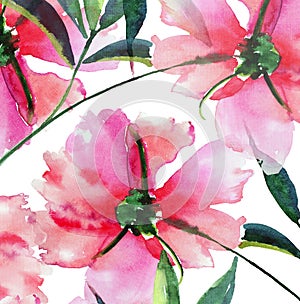 Bright cute tender lovely beautiful wonderful spring floral herbal pink peony with green leaves and buds watercolor hand illustrat