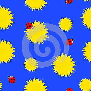 Bright Dandelion yellow flowers with red ladybugs seamless pattern. Spring or summer floral pattern on blue background