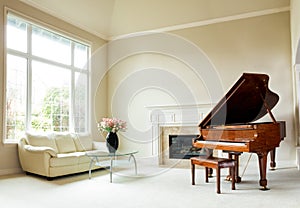 Bright daylight living room with grand piano