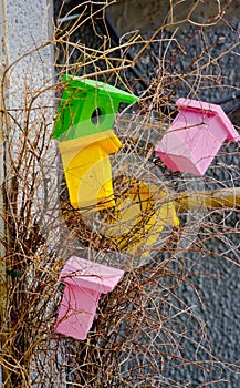 Bright decorative wooden birdhouses