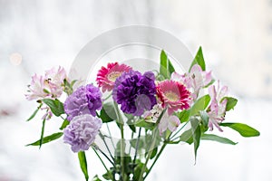 A bright delicate bouquet of flowers on the background of a white winter window.