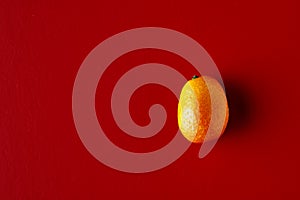 Bright Delicious Kum-Quat on a red background. Exotic fruit, vitamin and vegetarian sustainability for juices and salads