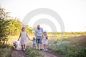 Bright diversity family walks on the paths in field with Samoyed dog. Traveling with pets