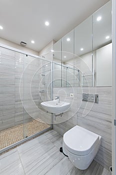 Bright Elegant Modern Minimalist Bathroom Interior Design of Shower Room With White Sink. Bathroom Accessories, Gray Walls,