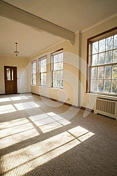 Bright Empty Room with Carpet and Windows