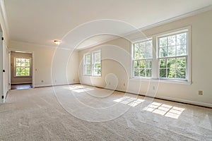 Bright Empty Room with Carpet and Windows
