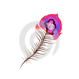 Bright exotic feather with colorful stripes on white