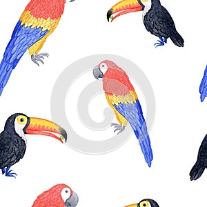 Bright exotic toucan and macaw parrot birds