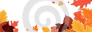 Bright fall autumn leaves harvest border baner. Colorful vector illustration