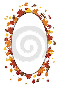 Bright Fall Autumn Leaves Vertical Oval Vector Illustration 1