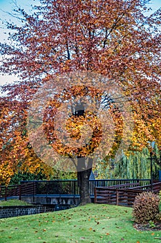 Bright fall colors of orange and red at Blair Athol Distillery in Perth and Kinross, Scotland, UK