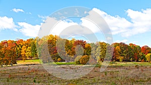 Bright fall foliage in US Capital.