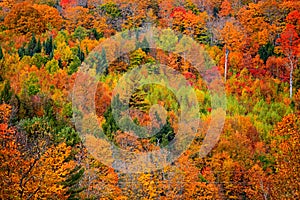 Bright fall foliage in Vermont mountains