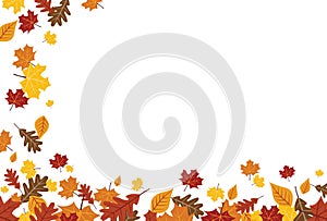 Bright Falling Fall Autumn Leaves Horizontal Border 1