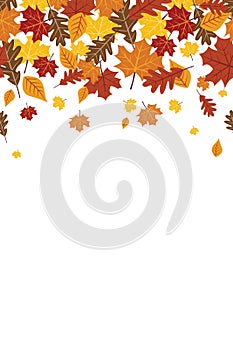 Bright Falling Fall Autumn Leaves Repeating Vertical Border 1