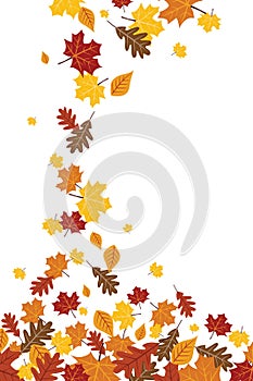 Bright Falling Fall Autumn Leaves Vertical Illustration 1
