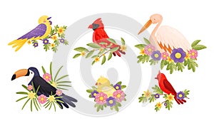 Bright Feathered Birds Sitting on Floral Twigs and Branches Vector Set